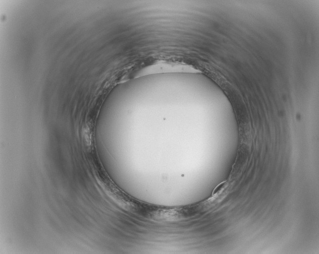 X0000059080086200511041832