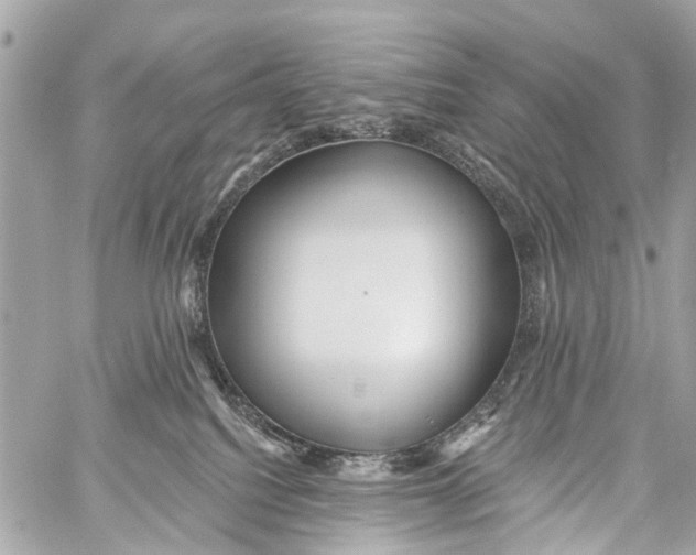 X0000059080088200511041832