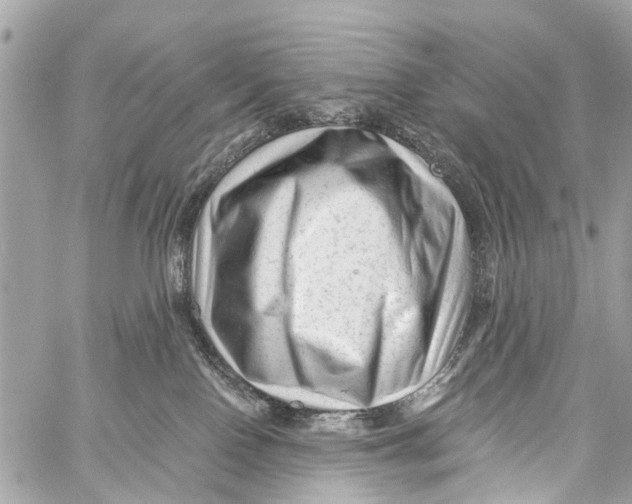 X0000059080090200511041832