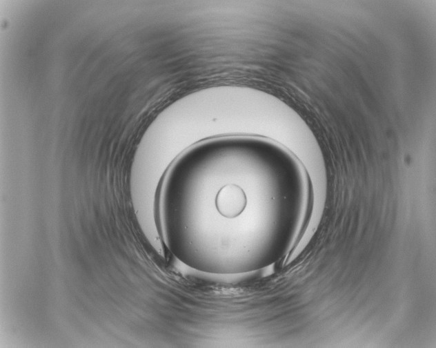 X0000059080091200511041832