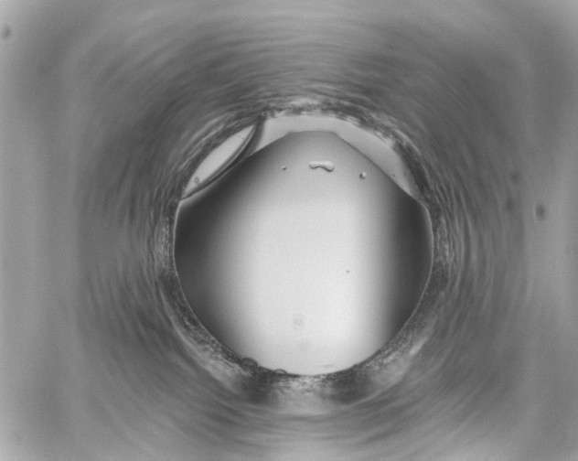 X0000059080092200511041832