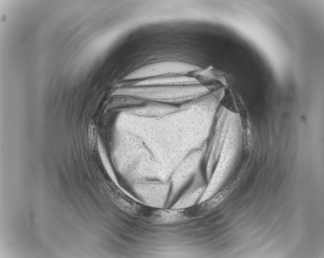 X0000059080093200511041832