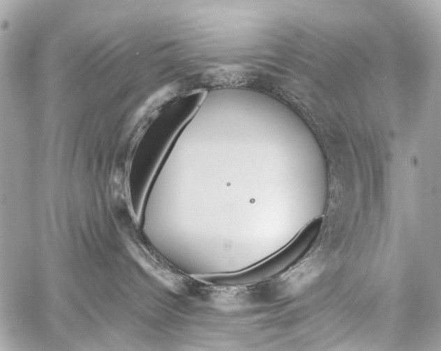 X0000059080096200511041832