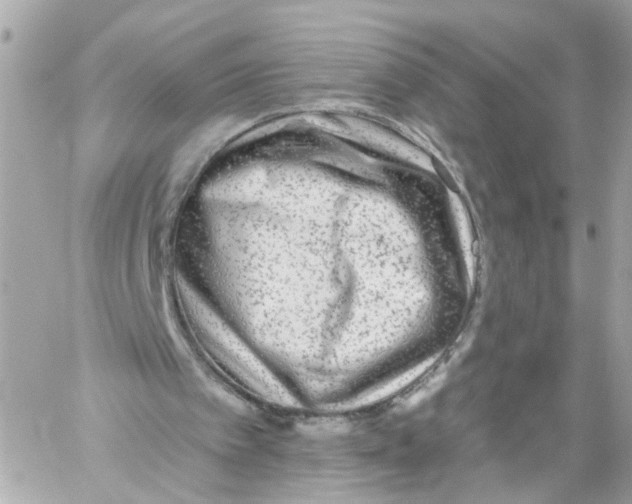 X0000059080097200511041832