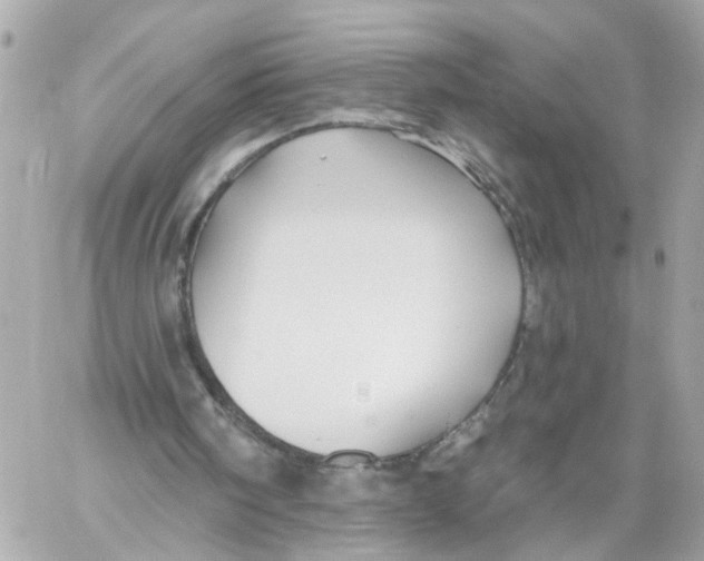 X0000059080098200511041832