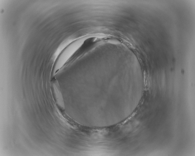 X0000059080099200511041832