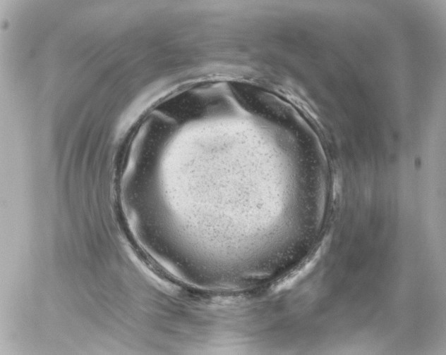 X0000059080101200511041832