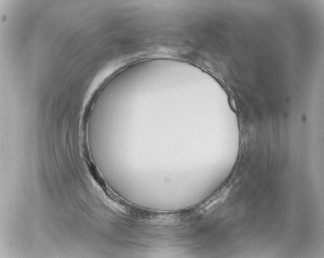 X0000059080102200511041832