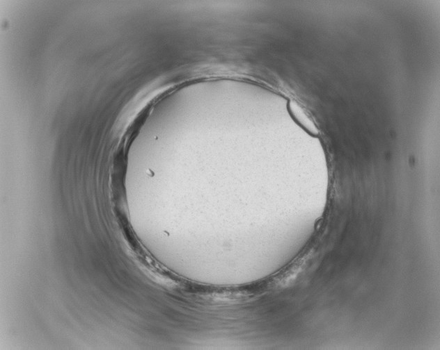 X0000059080103200511041832