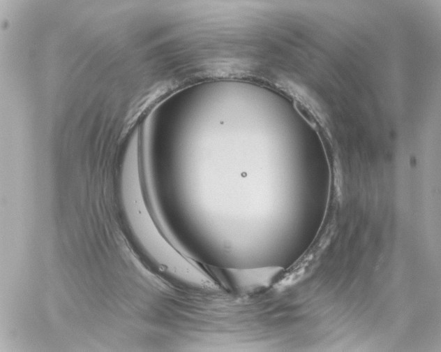 X0000059080105200511041832