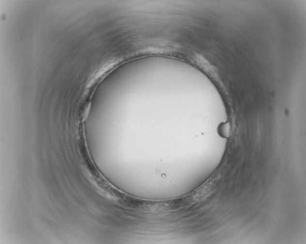 X0000059080106200511041831