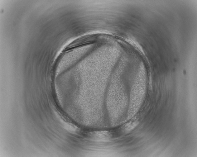 X0000059080108200511041831