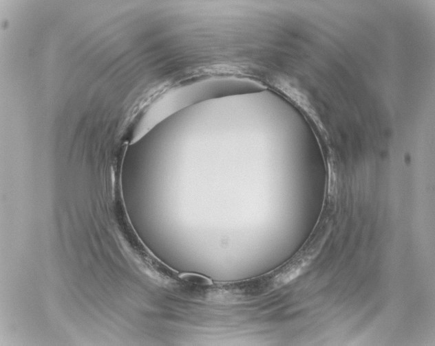 X0000059080109200511041831