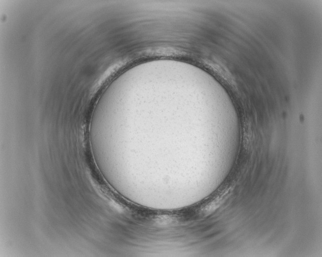 X0000059080111200511041831