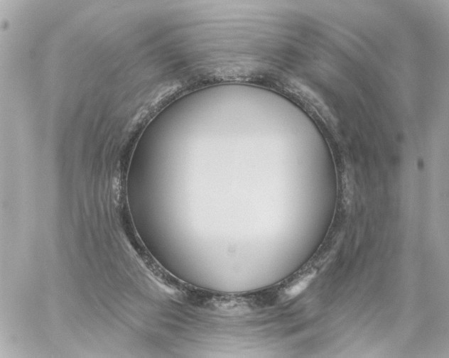 X0000059080113200511041831