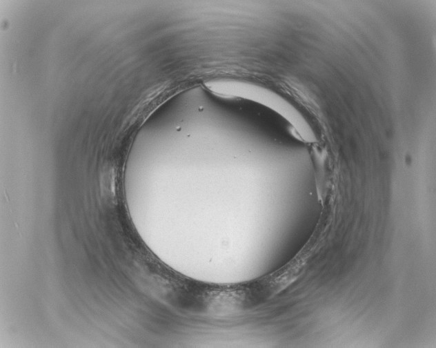 X0000059080115200511041831