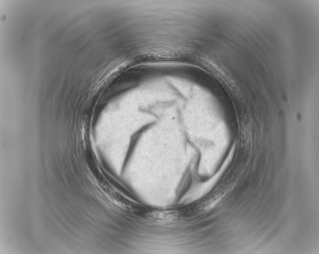 X0000059080117200511041831