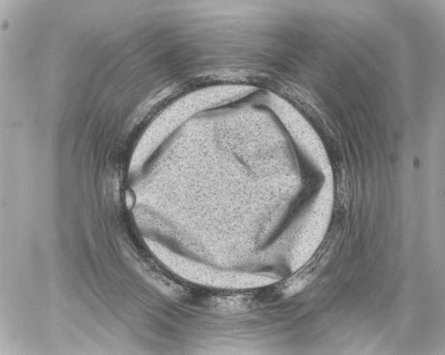 X0000059080120200511041831