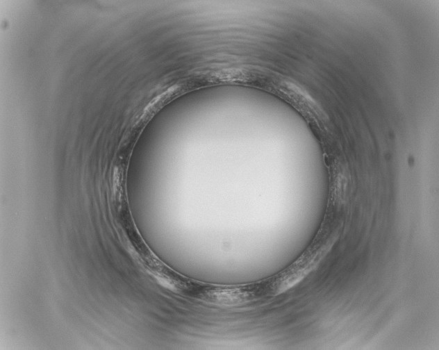 X0000059080121200511041831