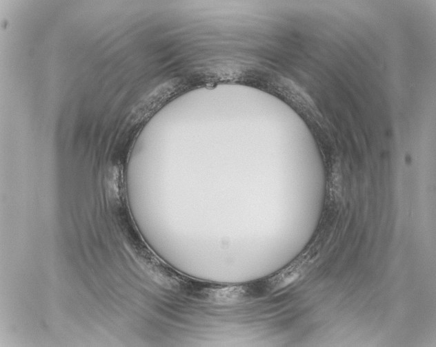 X0000059080122200511041831