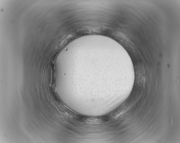 X0000059080123200511041831