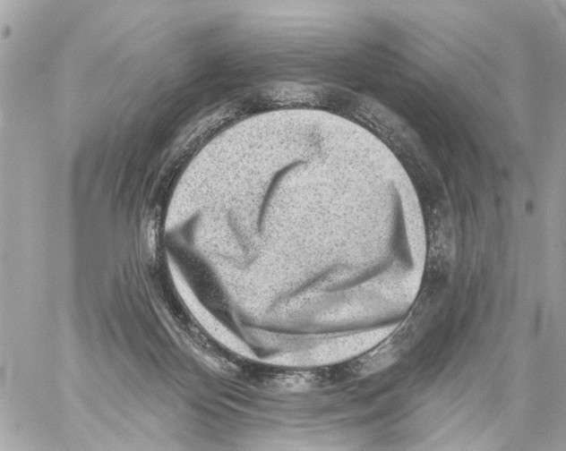 X0000059080124200511041831