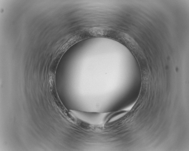 X0000059080125200511041831