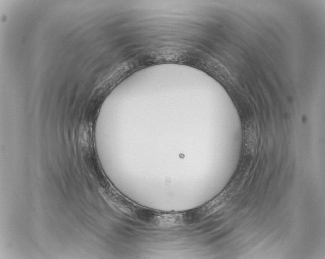 X0000059080126200511041831