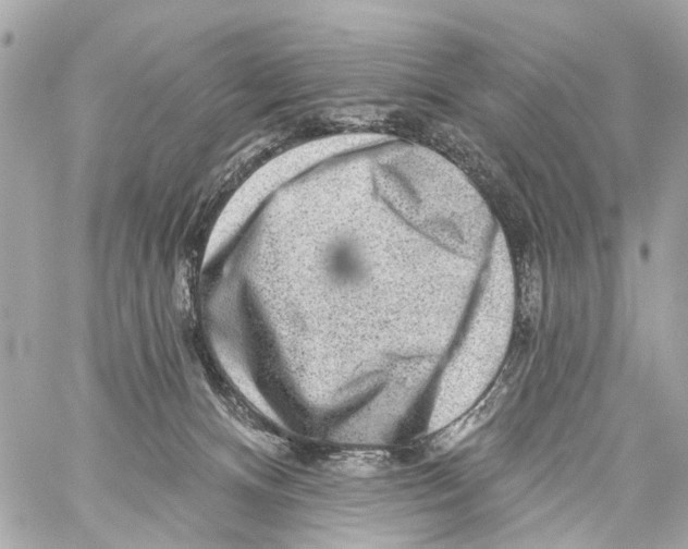 X0000059080128200511041831