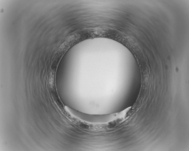 X0000059080129200511041831