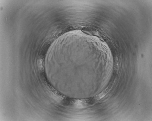 X0000059080130200511041831