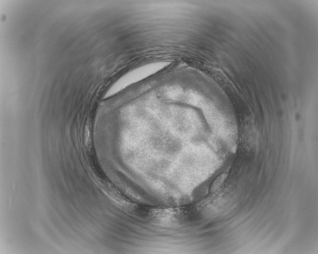 X0000059080131200511041831