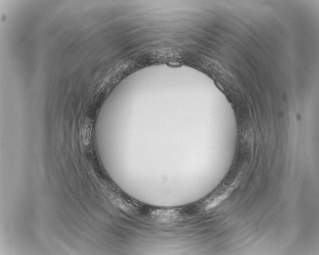 X0000059080133200511041831