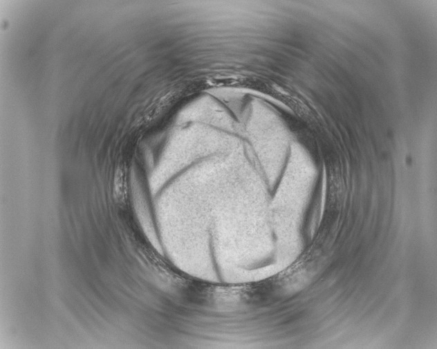 X0000059080134200511041831