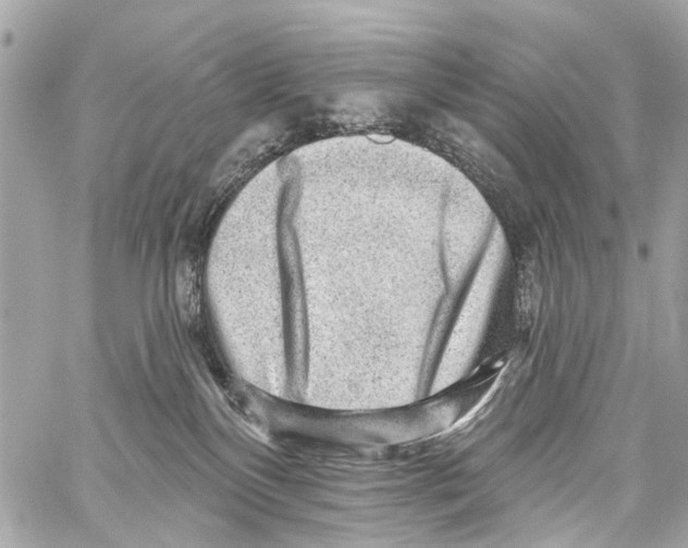 X0000059080136200511041831