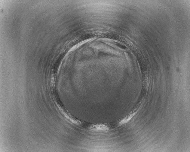 X0000059080137200511041831