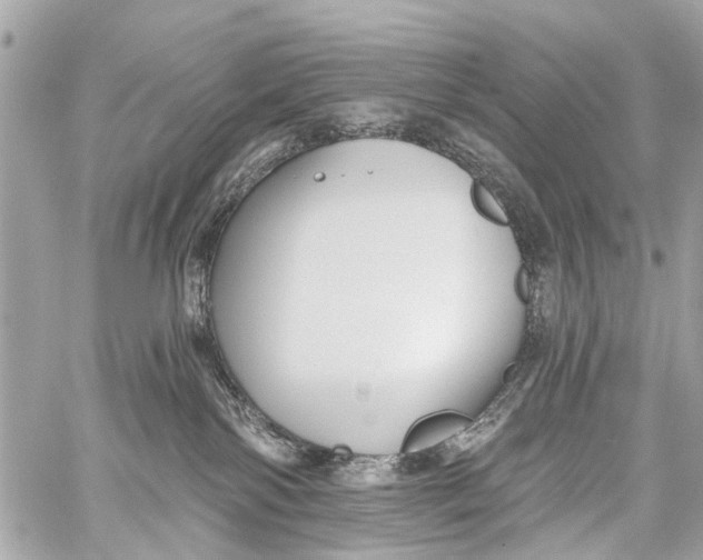 X0000059080138200511041831