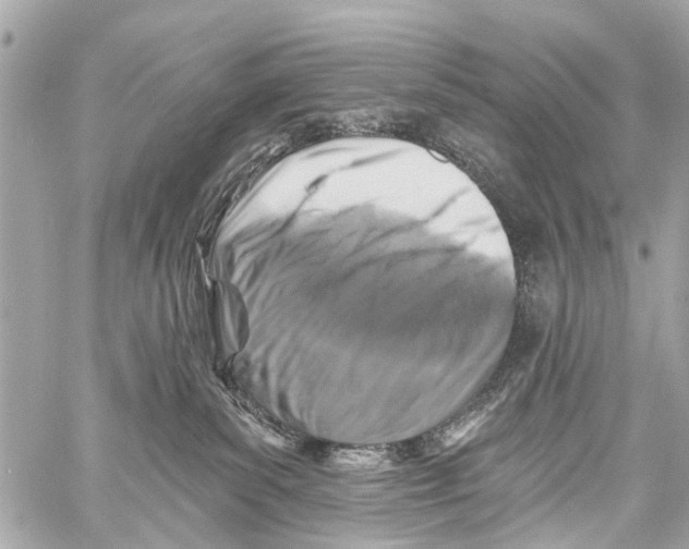 X0000059080139200511041831