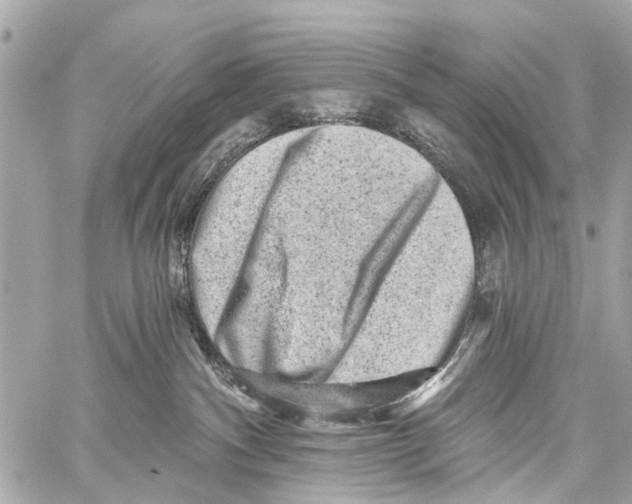 X0000059080140200511041831