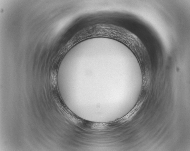 X0000059080142200511041831