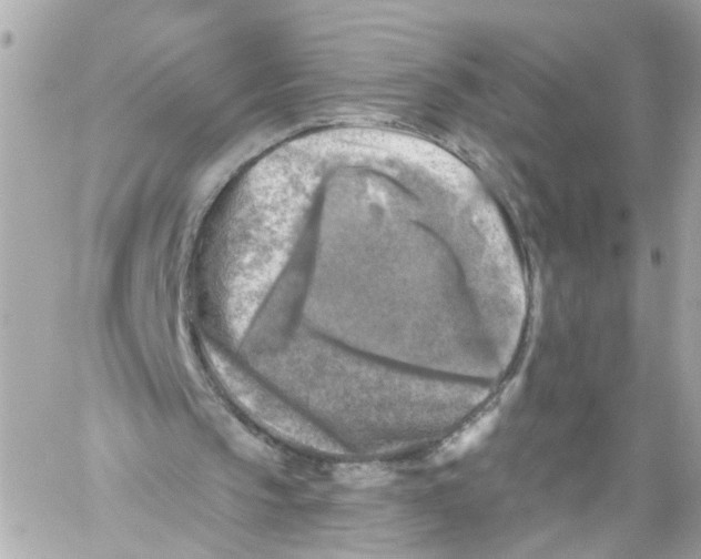 X0000059080145200511041830