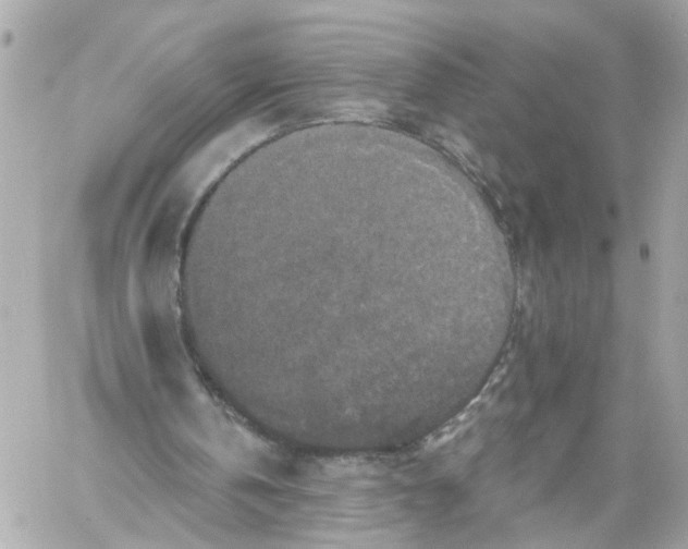 X0000059080146200511041830