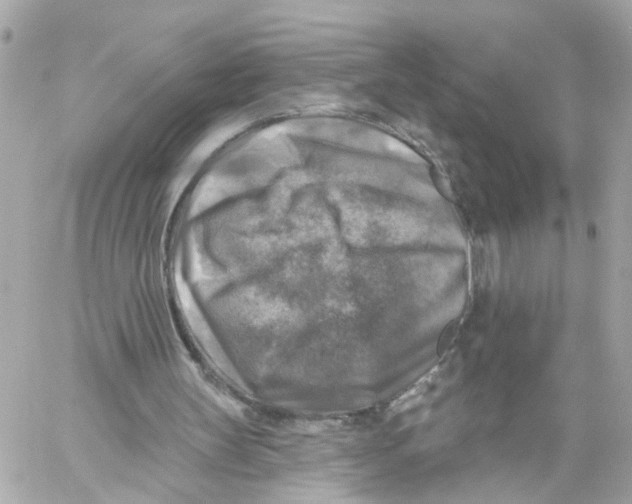 X0000059080147200511041830