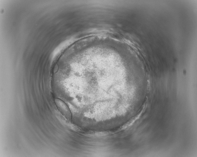 X0000059080149200511041830