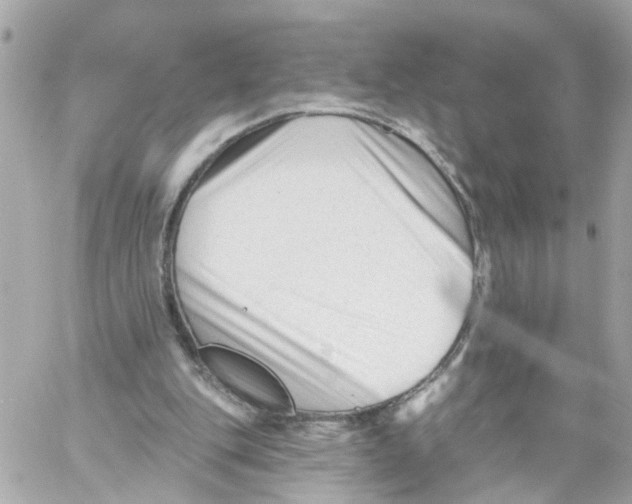 X0000059080151200511041830