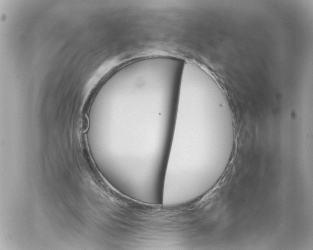 X0000059080152200511041830