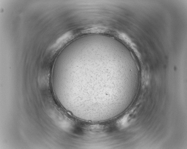 X0000059080153200511041830