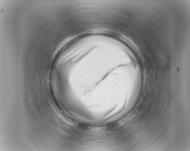 X0000059080155200511041830