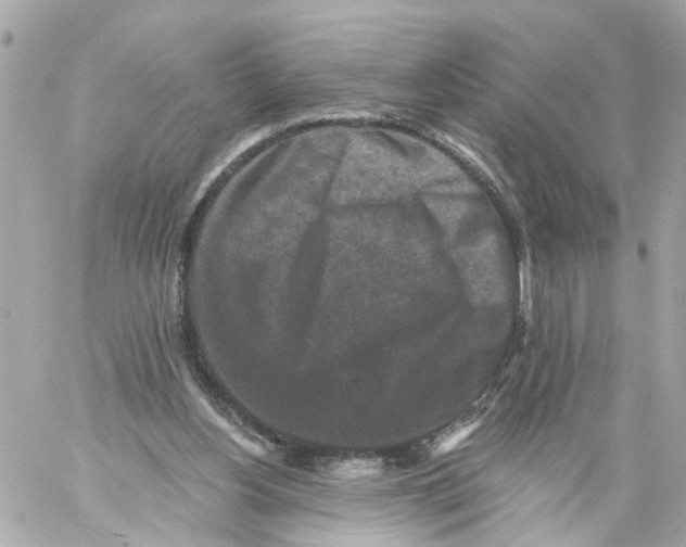 X0000059080156200511041830