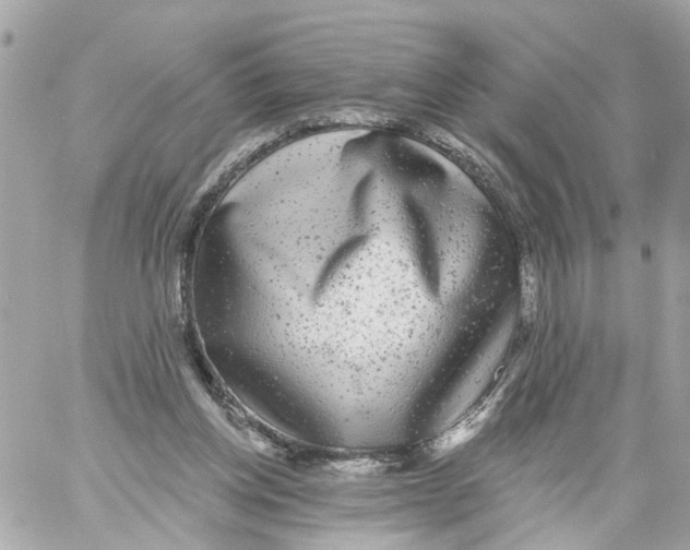 X0000059080158200511041830